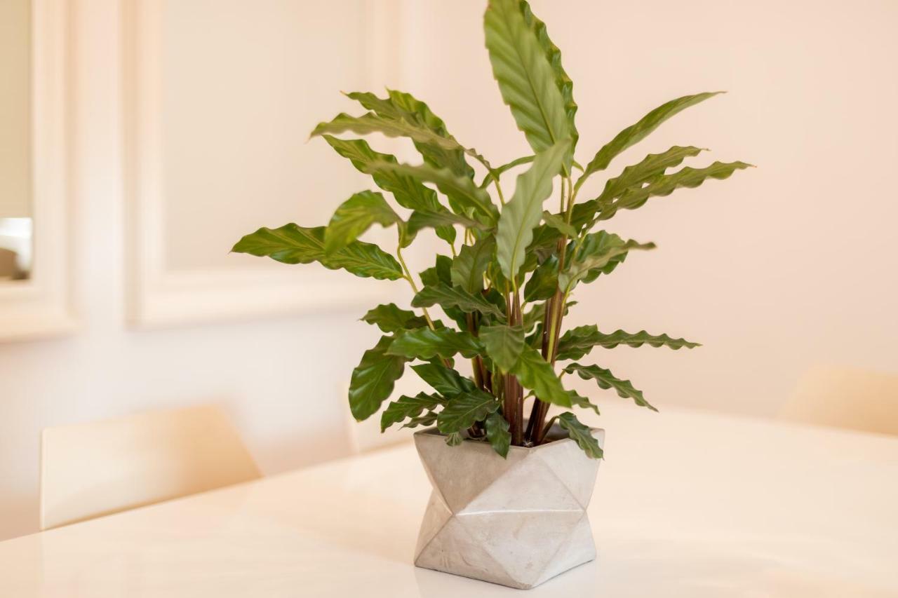 Alfama Modern Two-Bedroom Apartment W/ River View And Parking - By Lu Holidays Lisbon Bagian luar foto